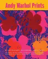 Andy Warhol cover