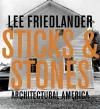 Lee Friedlander: Sticks & Stones cover