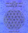 The Ancient Secret of the Flower of Life cover