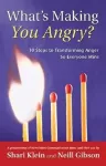 What's Making You Angry? cover