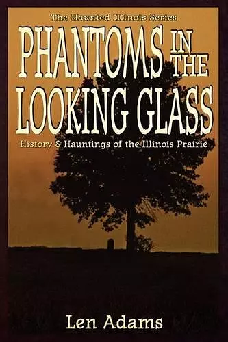 Phantoms in the Looking Glass cover