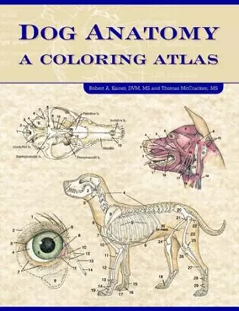 Dog Anatomy cover