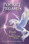 Pocket Pegasus cover