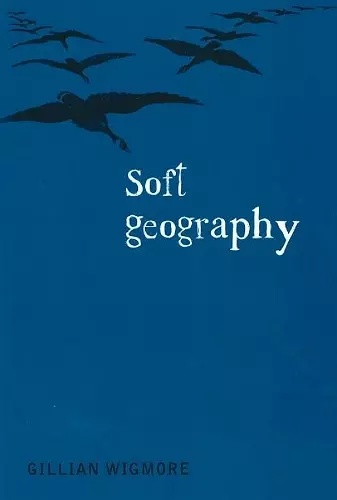 Soft Geography cover