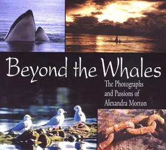 Beyond the Whales cover