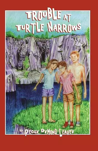 Trouble at Turtle Narrows cover