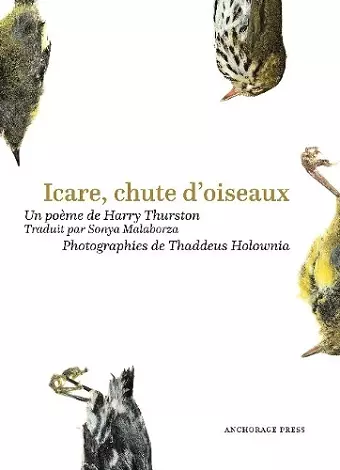 Icare, chute doiseaux cover