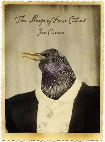 Sleep of Four Cities, The cover