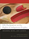 Realizing the UN Declaration on the Rights of Indigenous Peoples cover