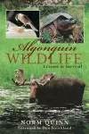 Algonquin Wildlife cover
