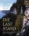 The Last Stand cover