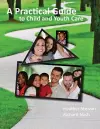 A Practical Guide to Child and Youth Care cover