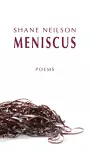 Meniscus cover