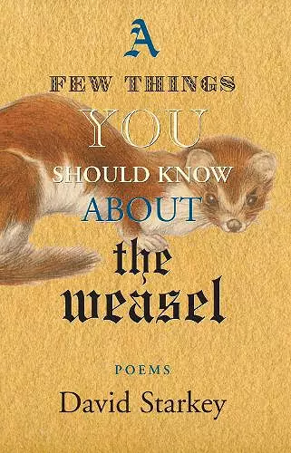 A Few Things You Should Know About the Weasel cover