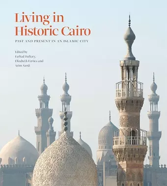 Living in Historic Cairo cover