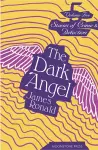 The Dark Angel cover