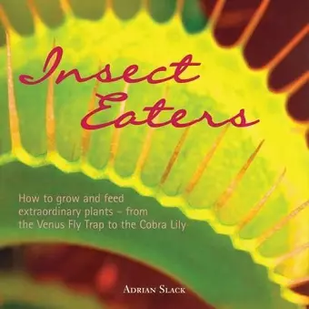 Insect Eaters cover