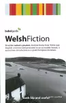 Babel Guide to Welsh Fiction cover