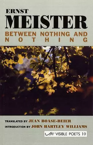 Between Nothing and Nothing cover