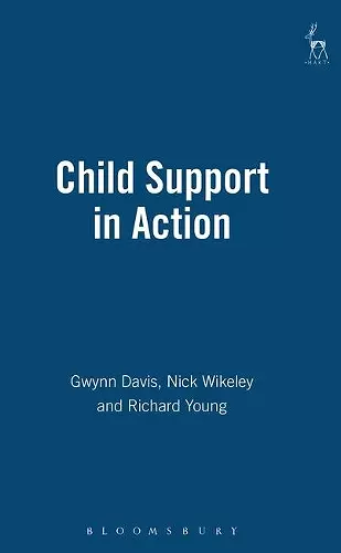 Child Support in Action cover