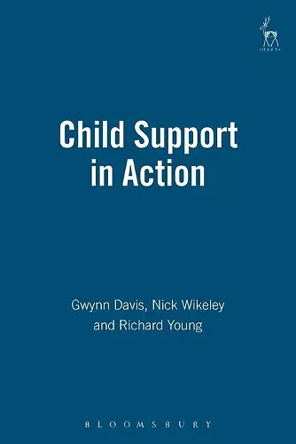 Child Support in Action cover