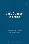 Child Support in Action cover