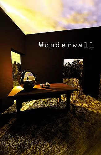 Wonderwall cover
