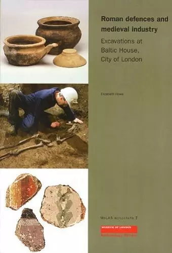 Roman Defences and Medieval Industry cover