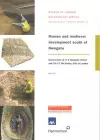 Roman and Medieval Development South of Newgate cover