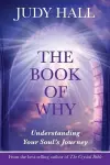 The Book of Why cover