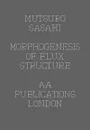 Matsuro Sasaki - Morphogenesis Of Flux Structure cover