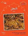 Small Wonders: Bees cover