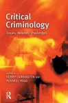 Critical Criminology cover