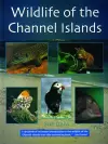 Wildlife of the Channel Islands cover
