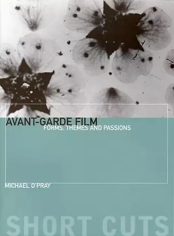 Avant–Garde Film – Forms, Themes and Passions cover