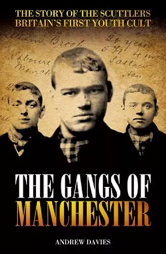 The Gangs of Manchester cover