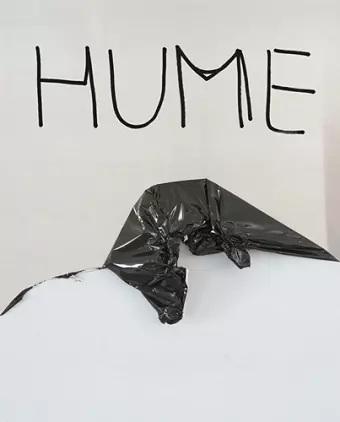 Gary Hume: A Cat on a Lap cover