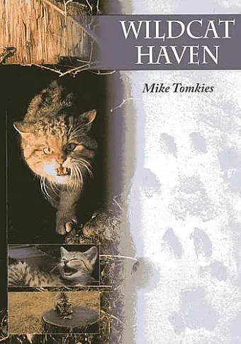 Wildcat Haven cover