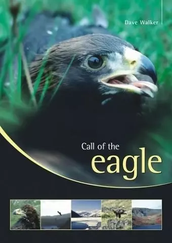 Call of the Eagle cover