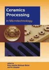 Ceramics Processing in Microtechnology cover