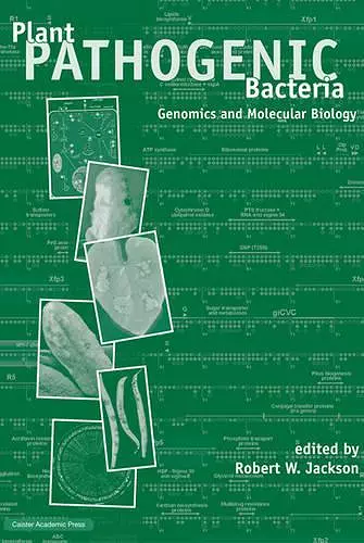 Plant Pathogenic Bacteria cover