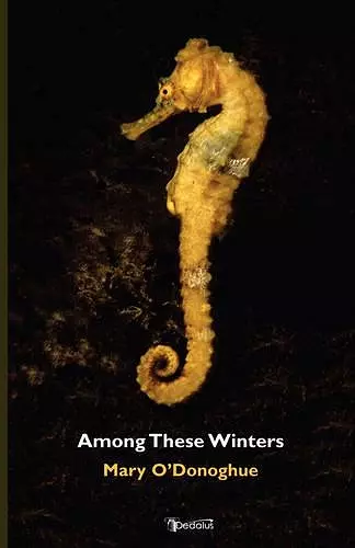 Among These Winters cover