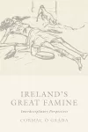 Ireland's Great Famine cover