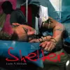 Shelter cover