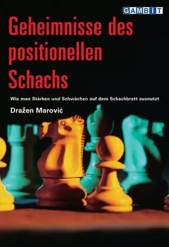 Geheimnisse Des Positionellen Schachs cover