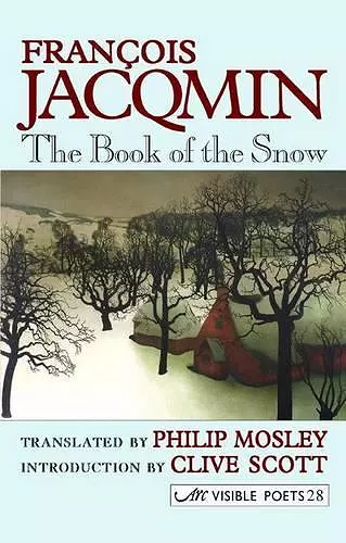 Book of the Snow cover