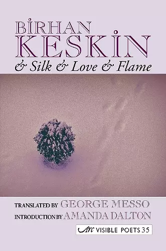 And Silk and Love and Flame cover