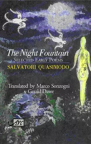 The Night Fountain cover