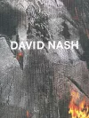 David Nash - Wood, Metal, Pigment cover