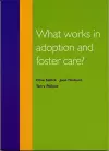 What Works in Adoption and Foster Care? cover
